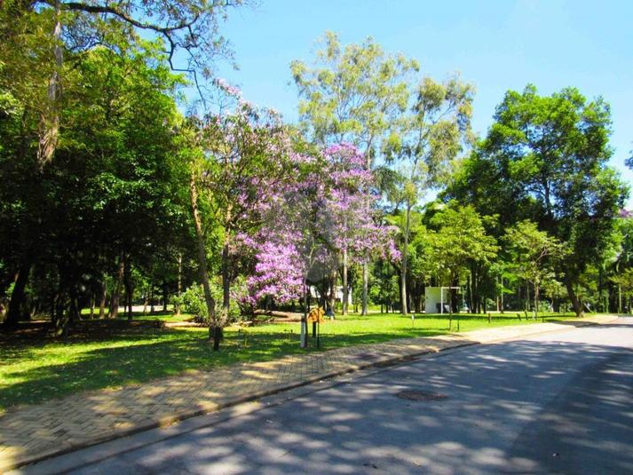 Foto REO83370