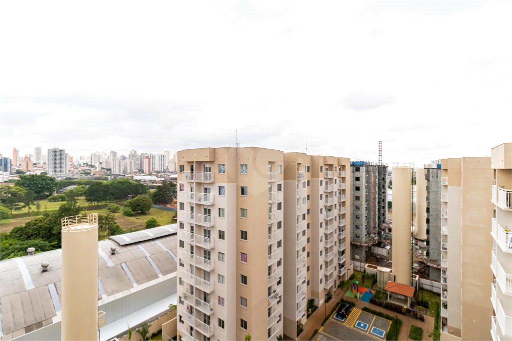 Venda Apartamento São Paulo Cambuci REO833922 17