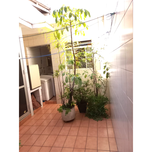 Venda Casa São Paulo Parque Mandaqui REO833942 16