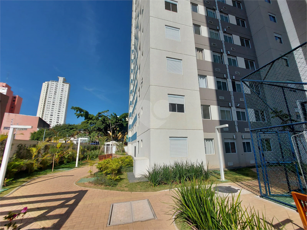 Venda Apartamento São Paulo Cambuci REO834295 16