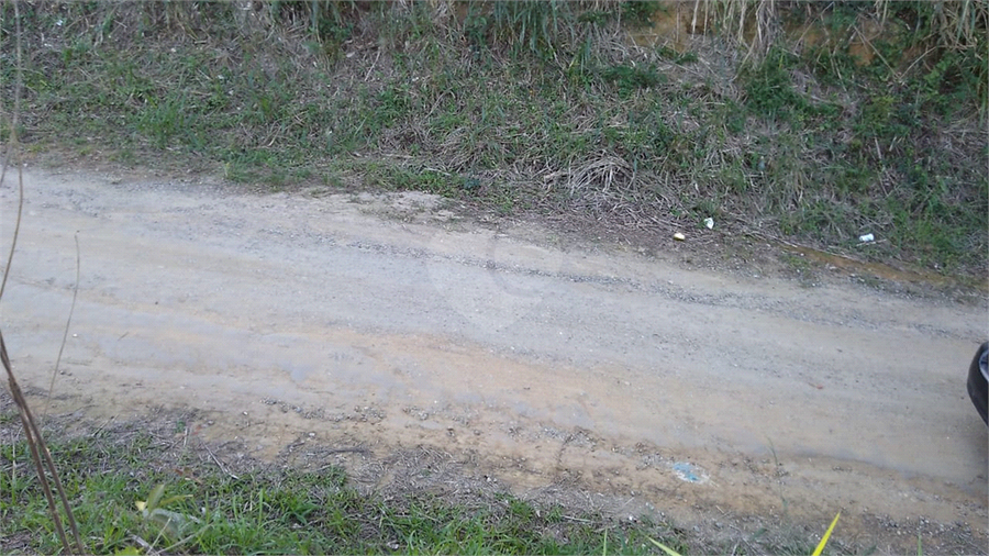 Foto REO834600