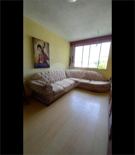 Foto REO835150