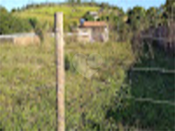 Foto REO835449
