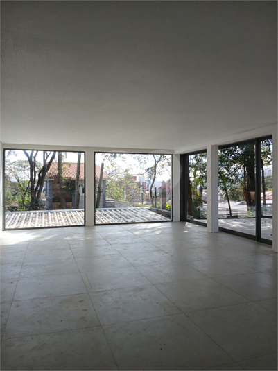 Foto REO835467