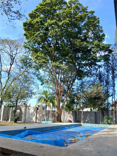 Foto REO835467