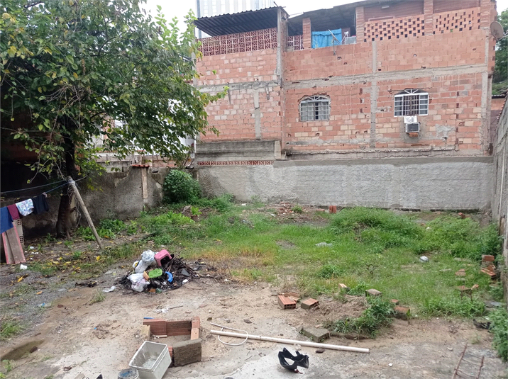 Foto REO835883
