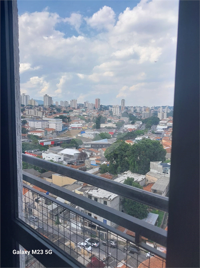 Foto REO835985