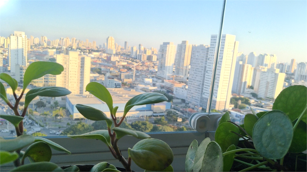 Venda Apartamento São Paulo Belenzinho REO836087 127