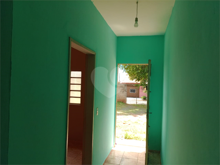 Foto REO836471