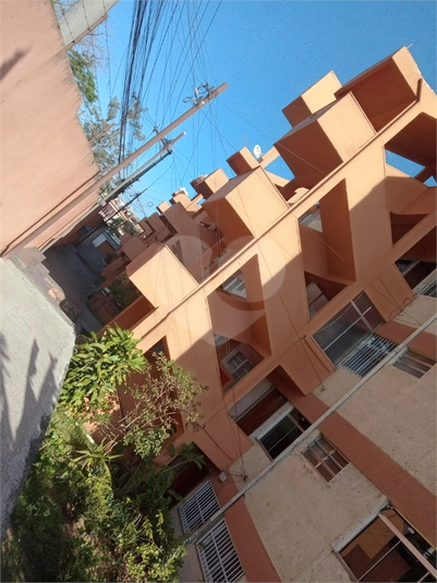 Foto REO836491