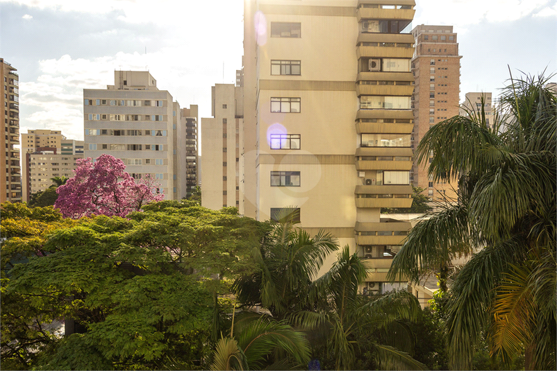 Foto REO836602