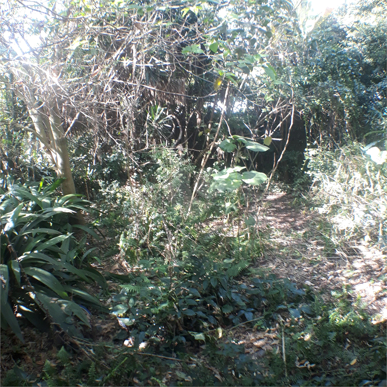 Venda Casa térrea São Paulo Vila São Francisco REO836663 7