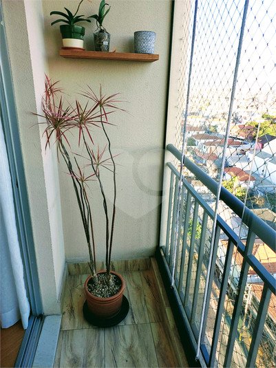 Venda Apartamento São Paulo Vila Gustavo REO836767 1