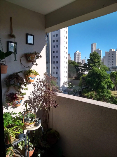 Venda Apartamento São Paulo Vila Firmiano Pinto REO836909 2