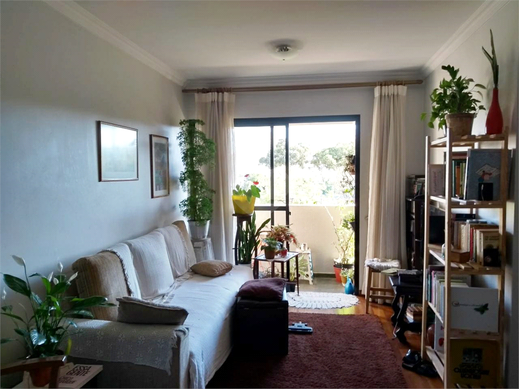 Venda Apartamento São Paulo Vila Firmiano Pinto REO836909 3