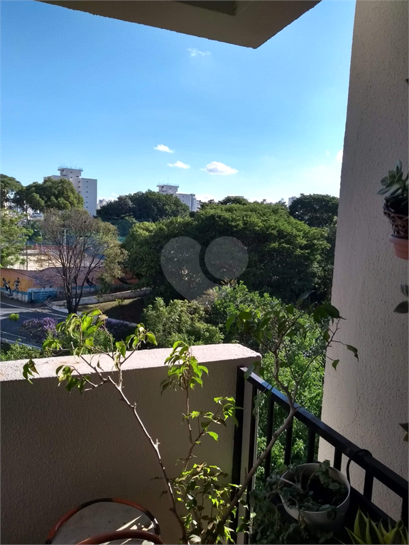 Venda Apartamento São Paulo Vila Firmiano Pinto REO836909 4