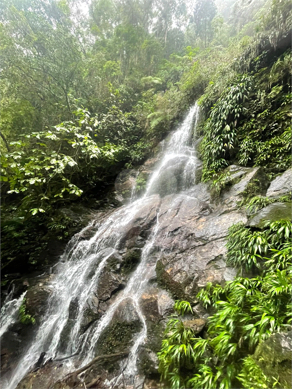 Venda Área de Terra São Sebastião Maresias REO837025 5