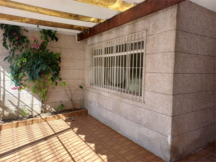 Foto REO837037