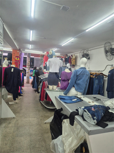 Foto REO837139