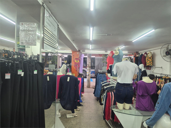 Foto REO837139