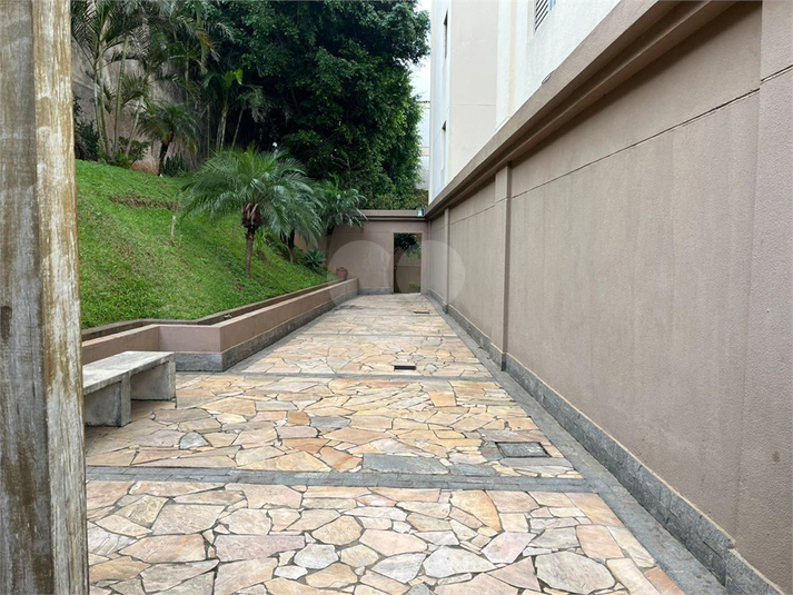 Aluguel Apartamento São Bernardo Do Campo Assunção REO839068 22