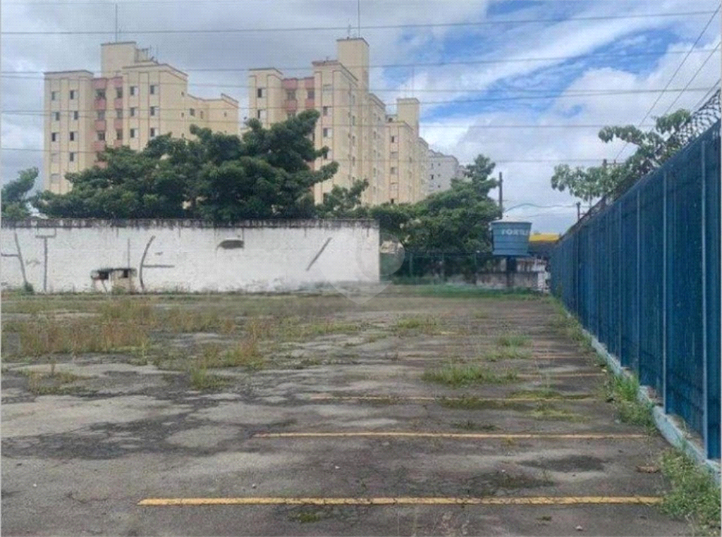 Aluguel Terreno São Paulo Jardim São Cristóvão REO839206 3