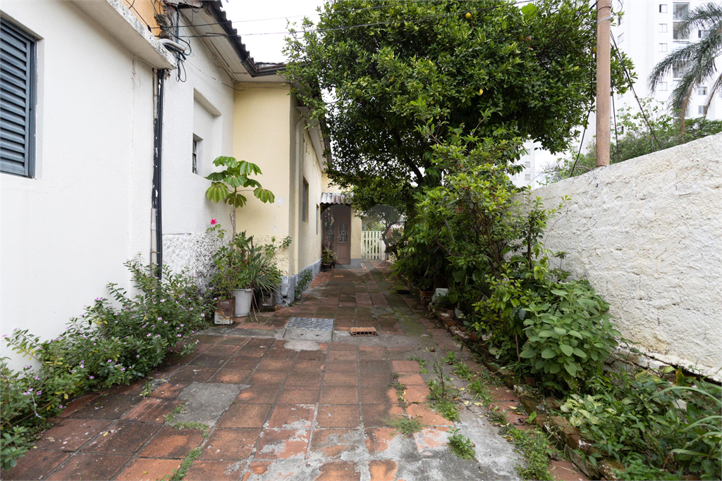 Venda Casa São Paulo Vila Moreira REO839690 17