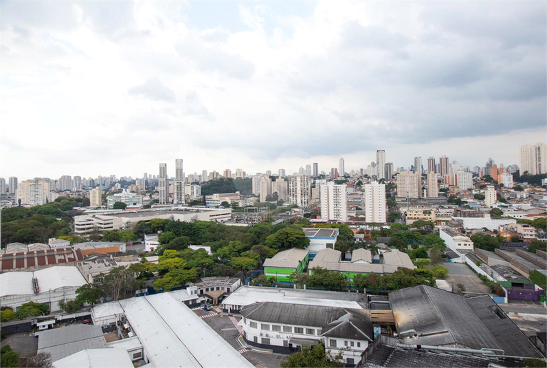 Venda Apartamento São Paulo Cambuci REO839780 8