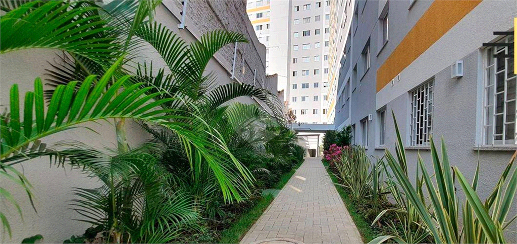 Venda Apartamento São Paulo Cambuci REO840057 22