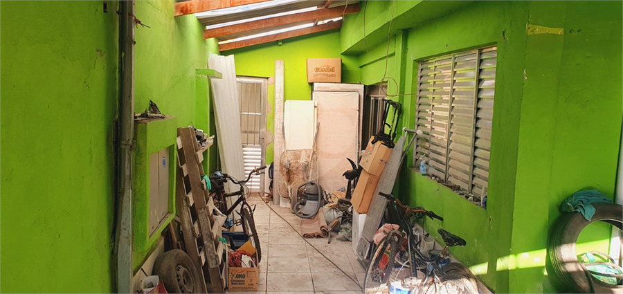 Foto REO840287