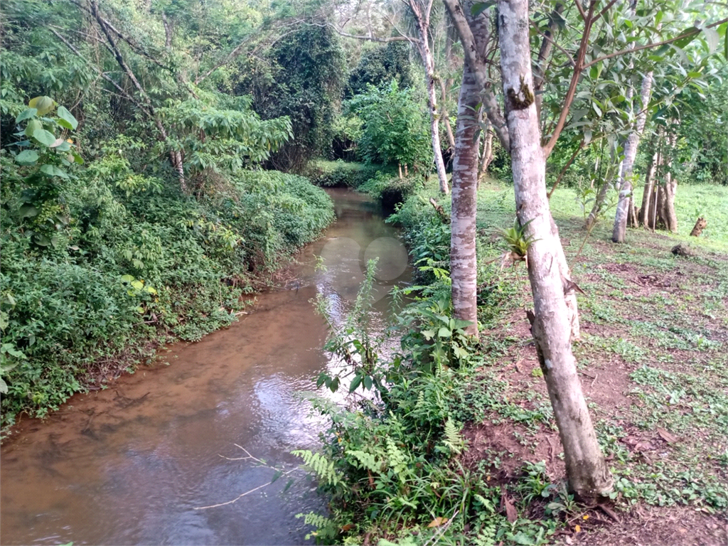 Venda Sítio São Lourenço Da Serra Centro REO840361 19