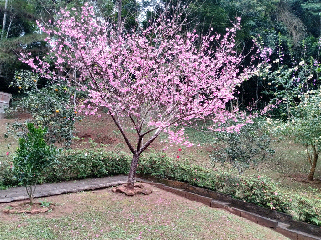 Venda Sítio São Lourenço Da Serra Centro REO840361 27