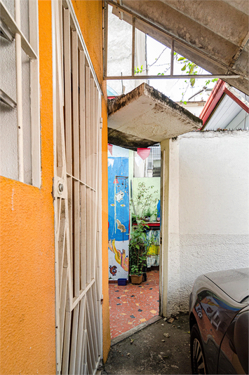 Foto REO840391