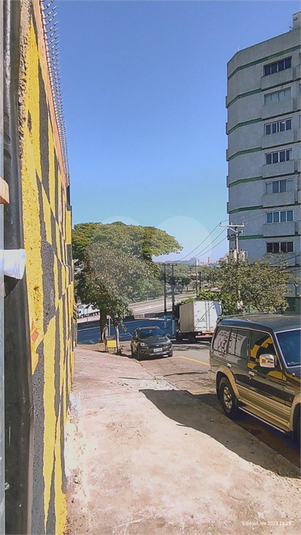 Foto REO840393