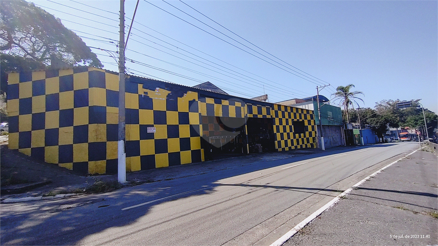 Foto REO840393