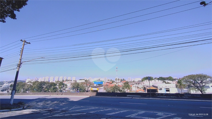 Foto REO840393