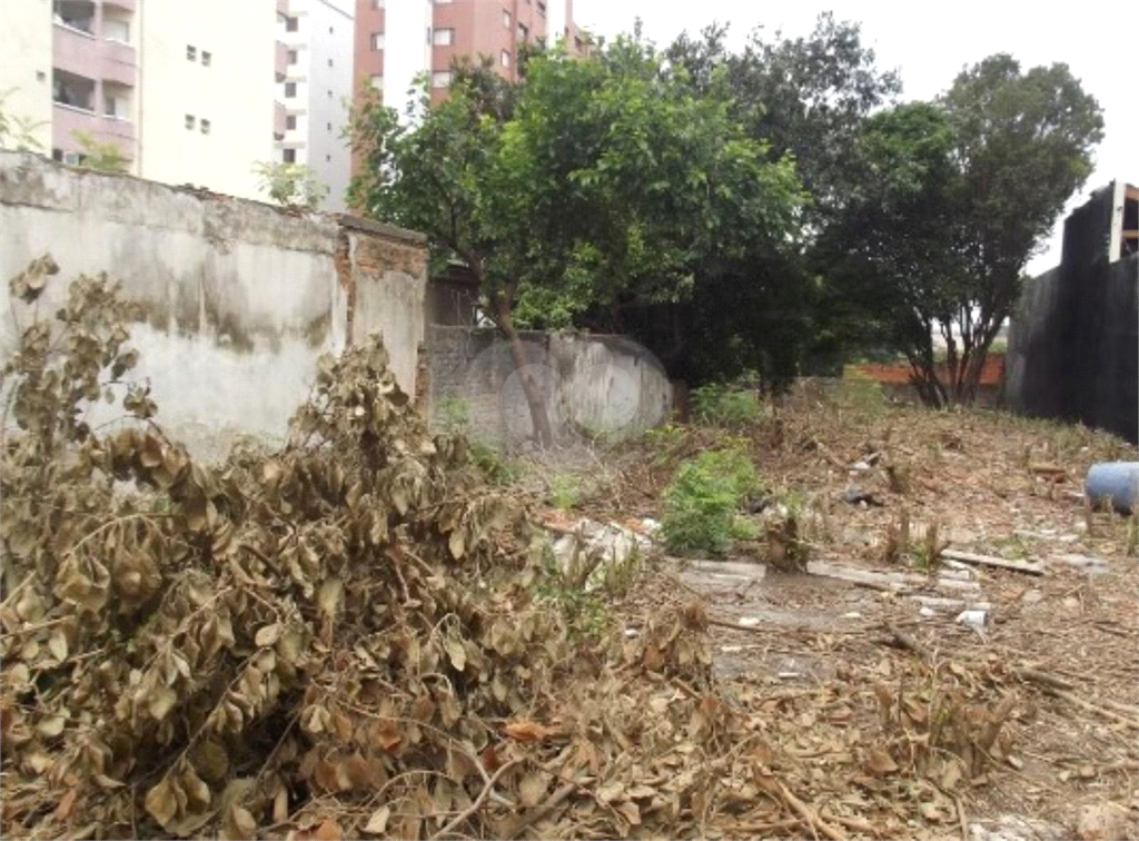 Venda Terreno São Paulo Vila Monte Alegre REO840420 3