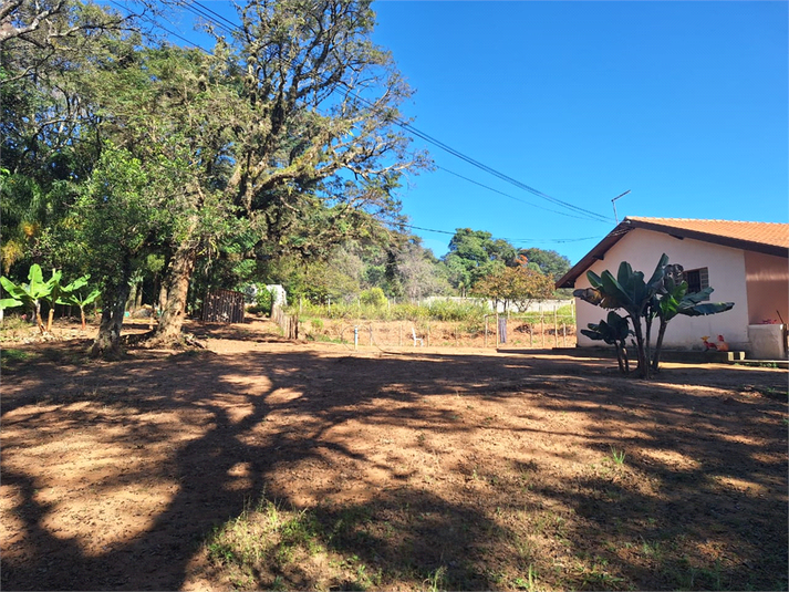 Foto REO840486