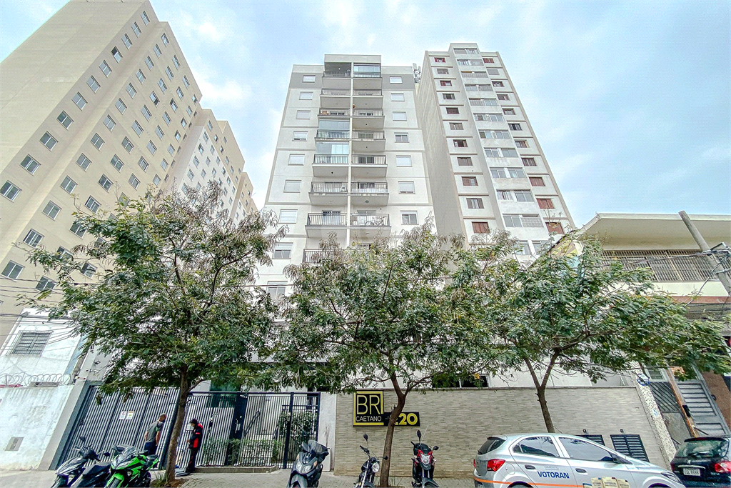 Venda Apartamento São Paulo Brás REO840768 44