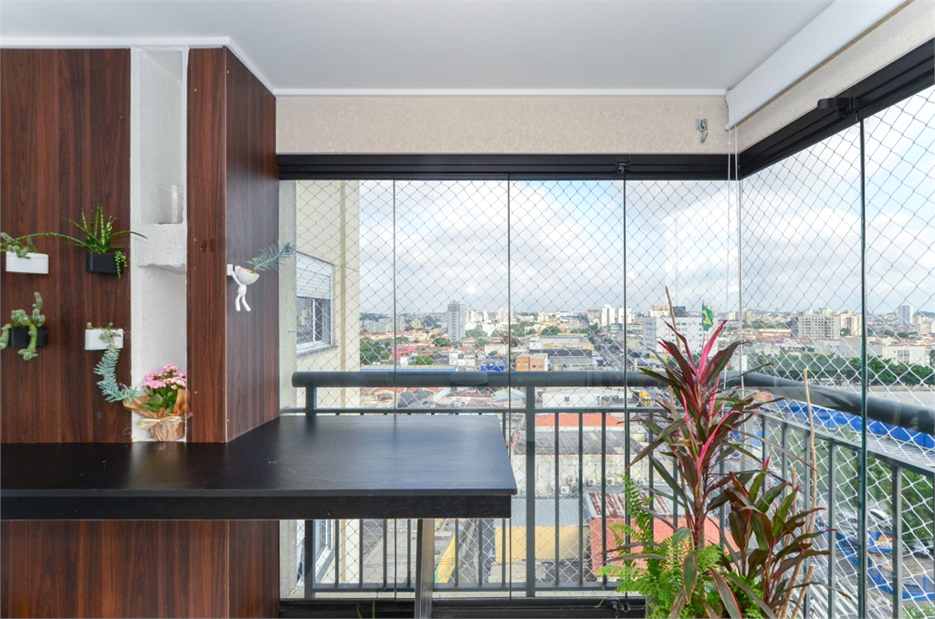 Venda Apartamento São Paulo Vila Mascote REO840862 11