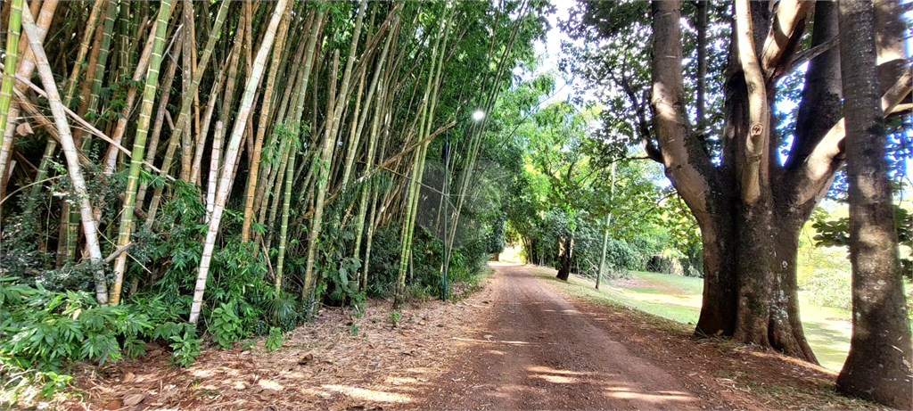 Venda Terreno Limeira Residencial Fazenda Itapema REO840941 9