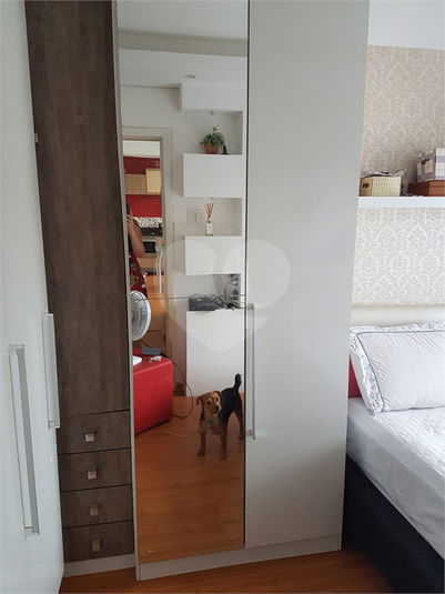 Venda Apartamento Porto Alegre Santo Antônio REO841024 12