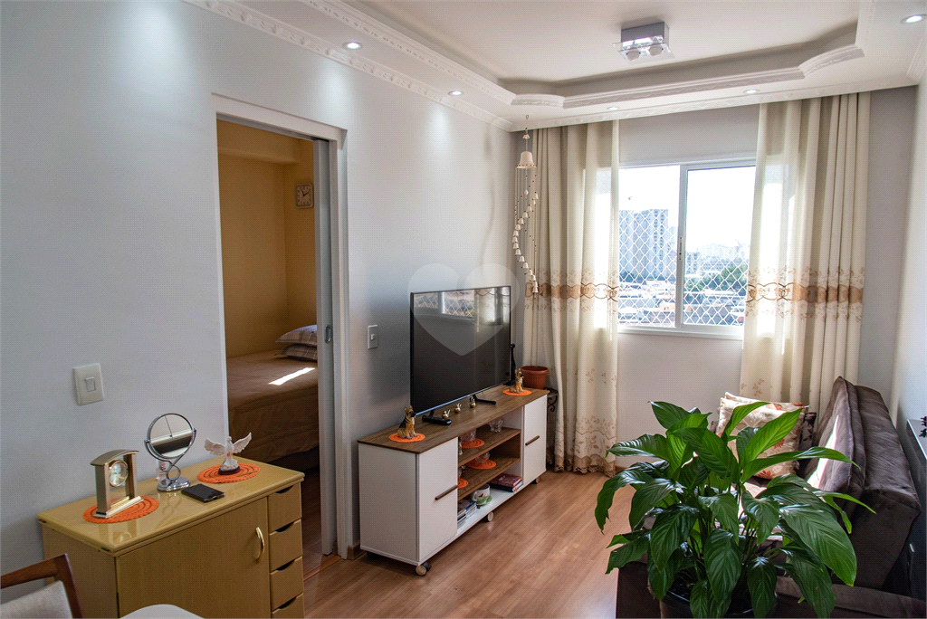 Venda Apartamento São Paulo Cambuci REO841224 1