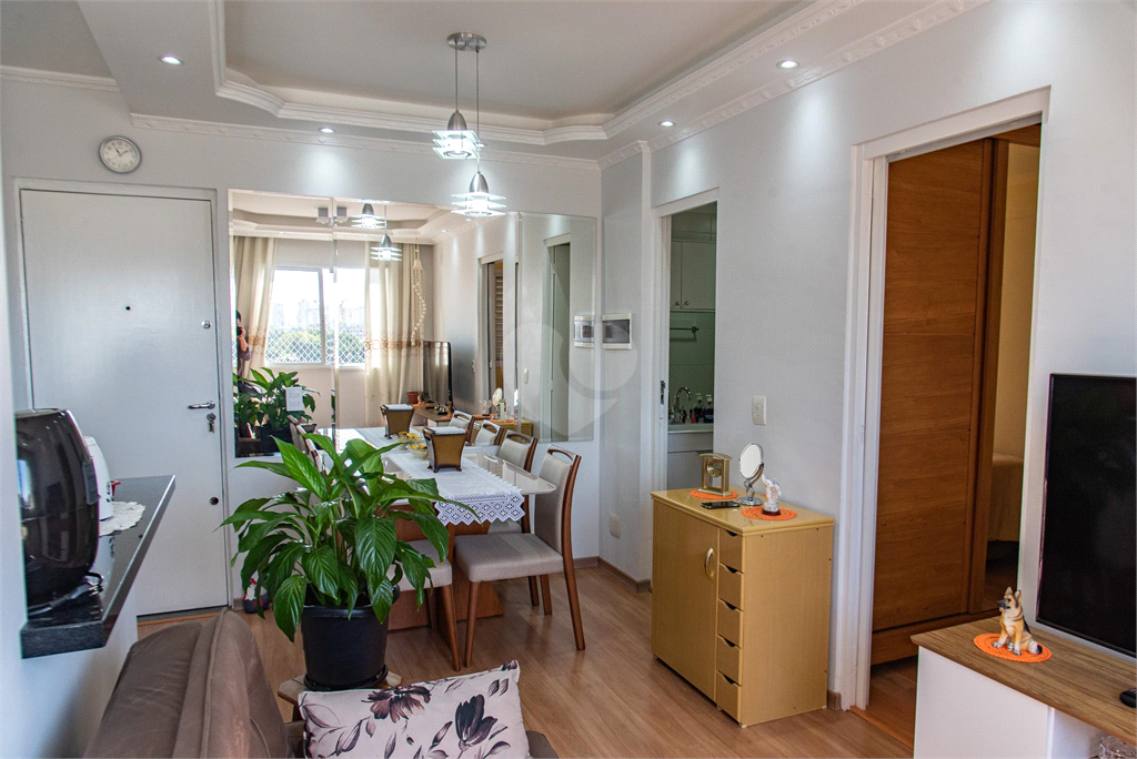 Venda Apartamento São Paulo Cambuci REO841224 3