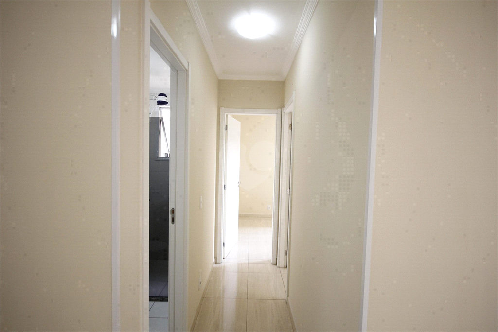 Venda Apartamento São Paulo Cambuci REO841515 15