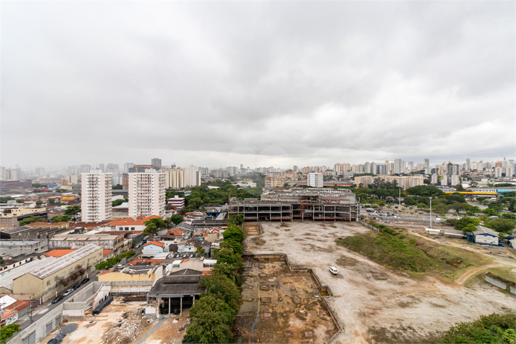 Venda Apartamento São Paulo Cambuci REO842040 17