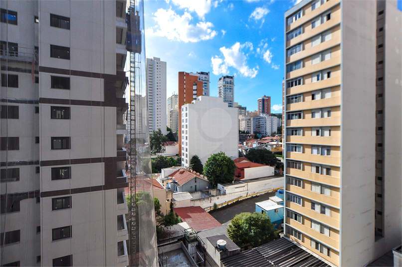 Foto REO842147