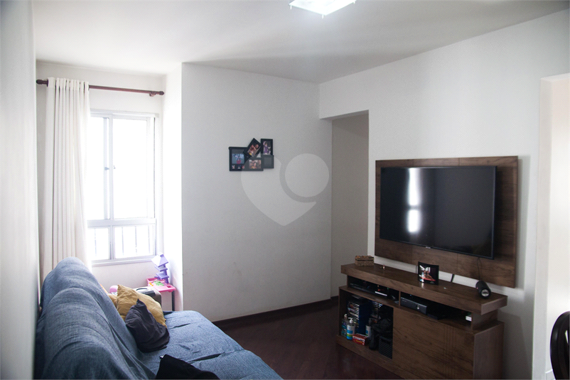 Foto REO842306