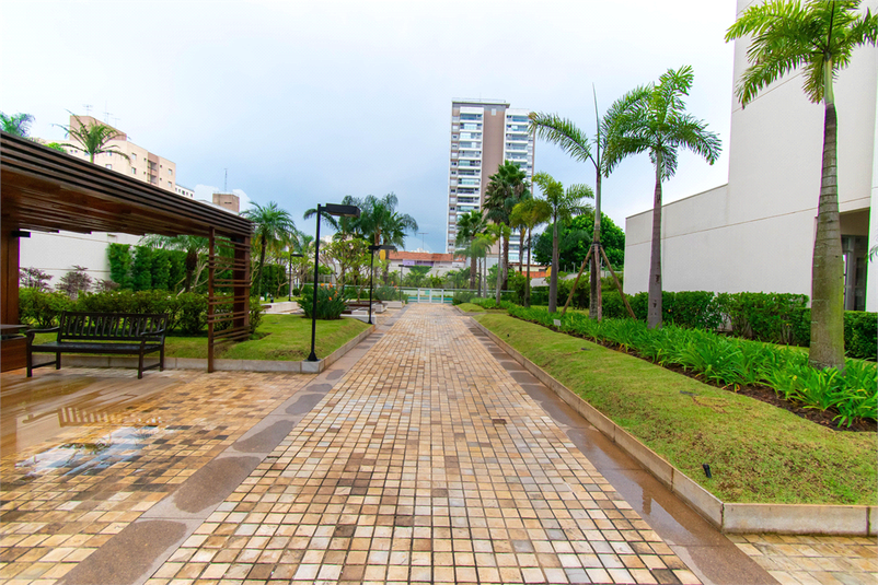 Foto REO842340