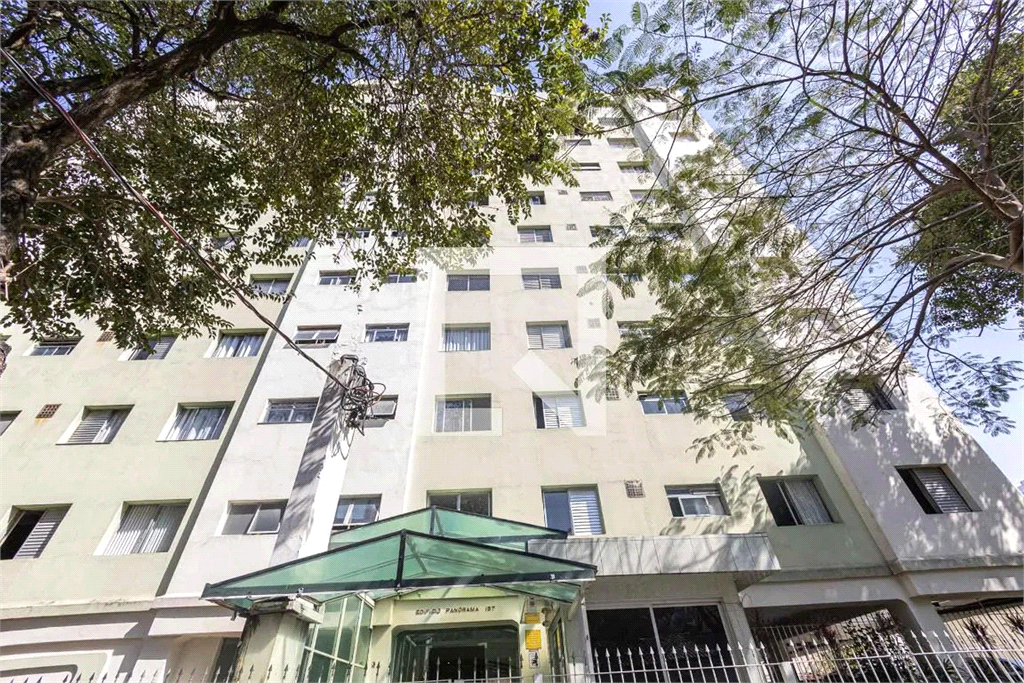 Venda Apartamento São Paulo Parque São Jorge REO842402 33